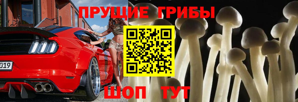 Вольск  Галлюциногенные грибы мухоморы  Вход с VPN 