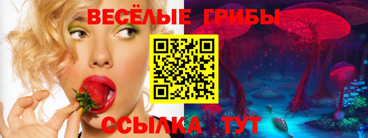 Галлюциногенные грибы Cubensis Вольск
